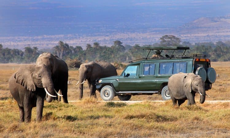 B1