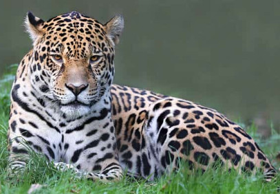 6 Days Tanzania Camping Safari