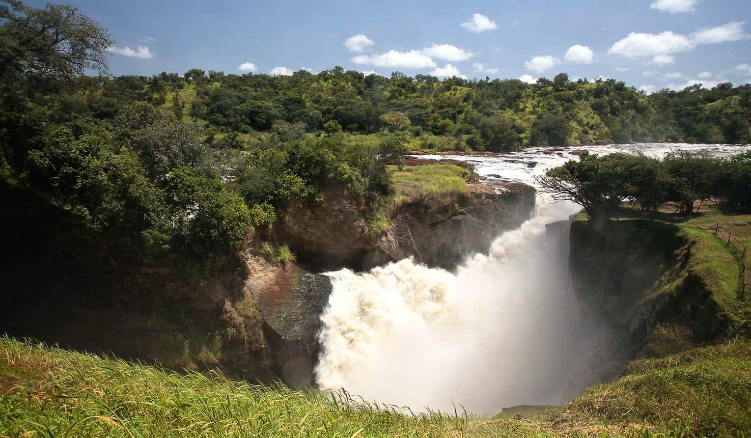 Murchison Falls 20