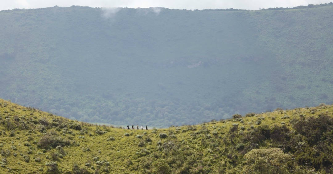 Embaki walking in Ngorongoro