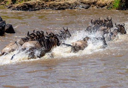 10 Days Tanzania Safari in Style