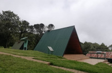 4-Day Manyara, Ngorongoro, Serengeti Safari