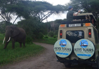 5-Day Manyara, Ngorongoro, Serengeti & Tarangire Safari