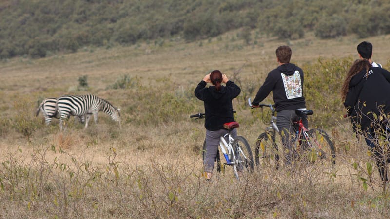 Kubwa Five Safaris 2