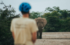 1-Day Cycle to Kilimanjaro Bike Park Safari