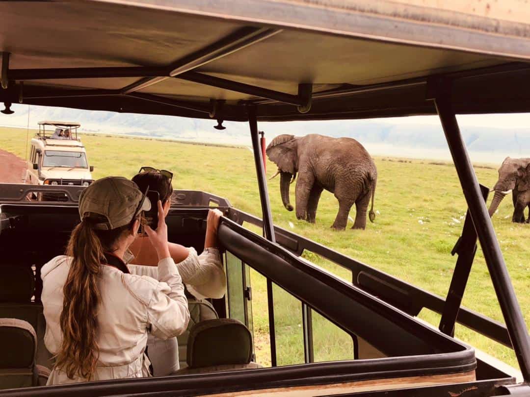 2 Days Taste Of Tanzania Safari Tarangire Ngorongoro Crater 1664528920