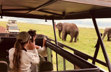 4-Day Tarangire, Serengeti and Ngorongoro Crater