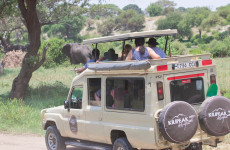 4 Days Budget Shared Safari in Tanzania