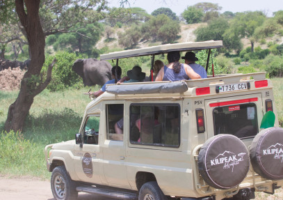 4 Days Budget Shared Safari in Tanzania
