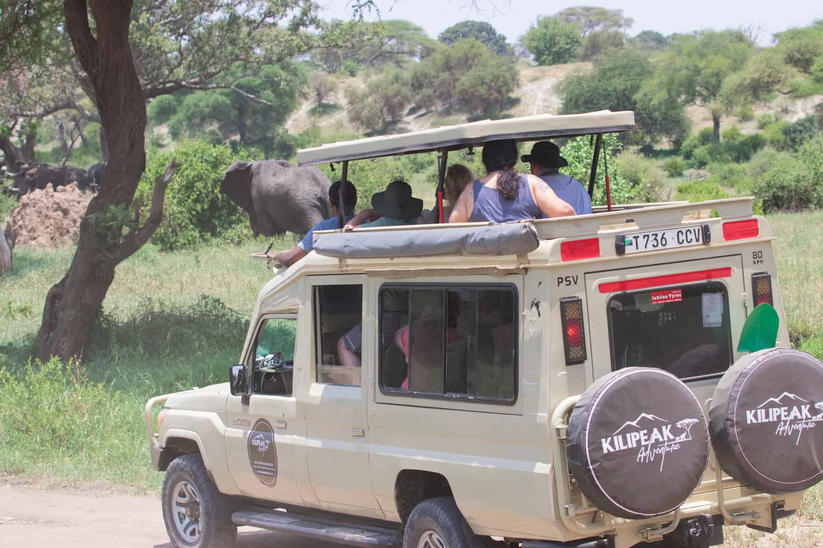 4 Days Budget Shared Safari In Tanzania