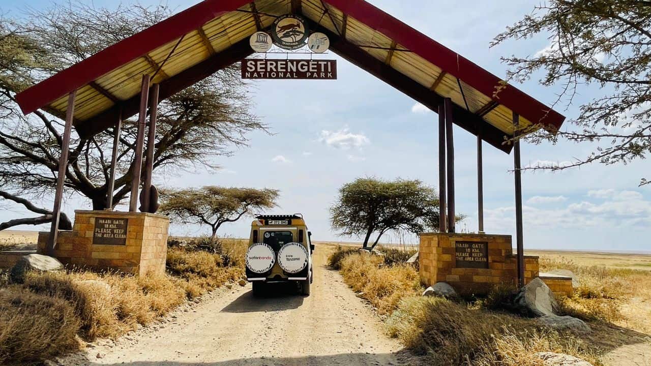 7 Days Classic Tanzania Safari Tarangire Serengeti Ngorongoro Crater Lake Manyara 1664531156