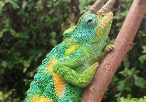 8ab7cb8127a549bdb14ec56338d2a43d