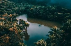 3-Day Magoroto Forest Tour