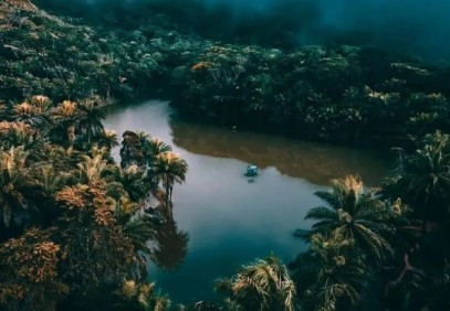 3-Day Magoroto Forest Tour