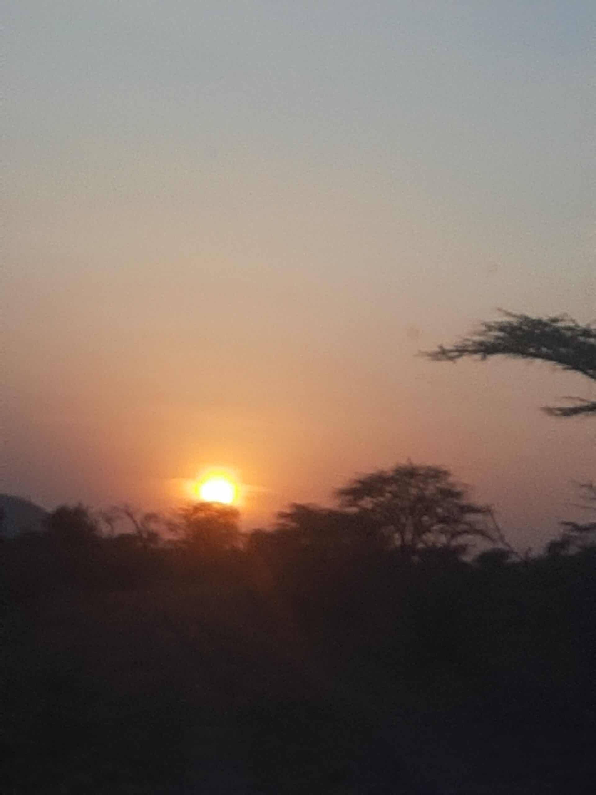 Nature In Paradise Safaris (16)