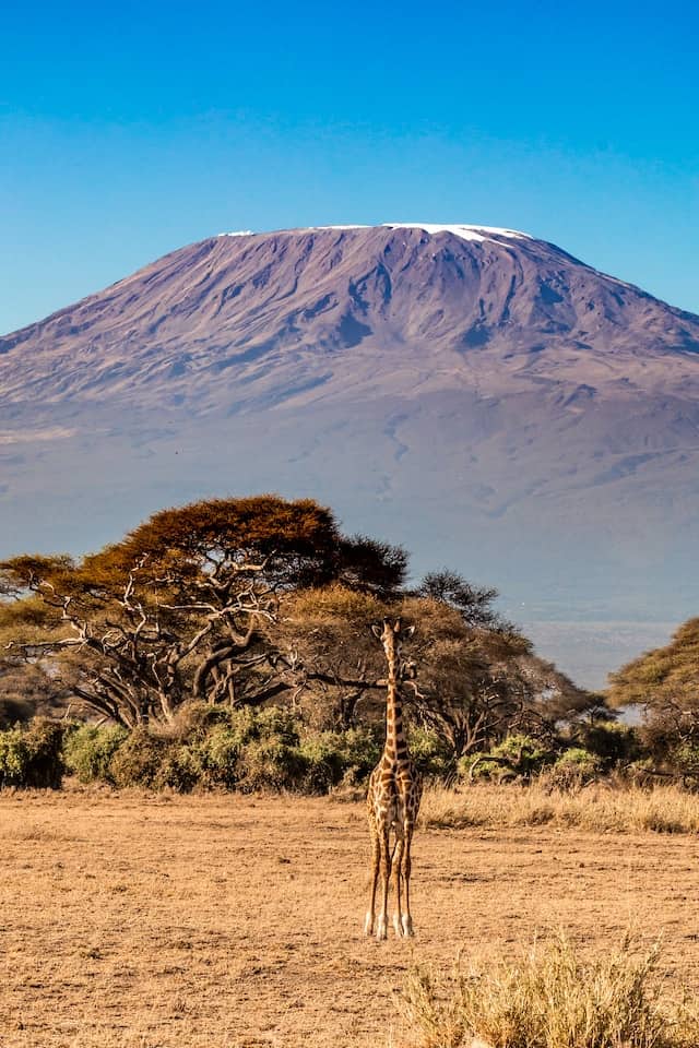 Nature In Paradise Safaris