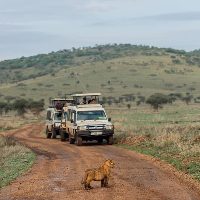 Tanzania Safaris To Ngoro