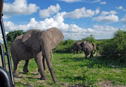 2 Days Tanzania Group Sharing Safari to Ngorongoro & Tarangire