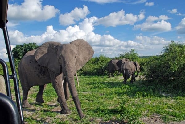 2 Days Tanzania Sharing Safari To Tarangire National Park And Ngorongoro Crater Kiliserengoro Tours 2023 2024