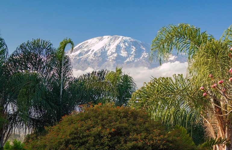 6 Days Machame Route Itinerary Kilimanjaro Hiking Climbing Trekking Tour