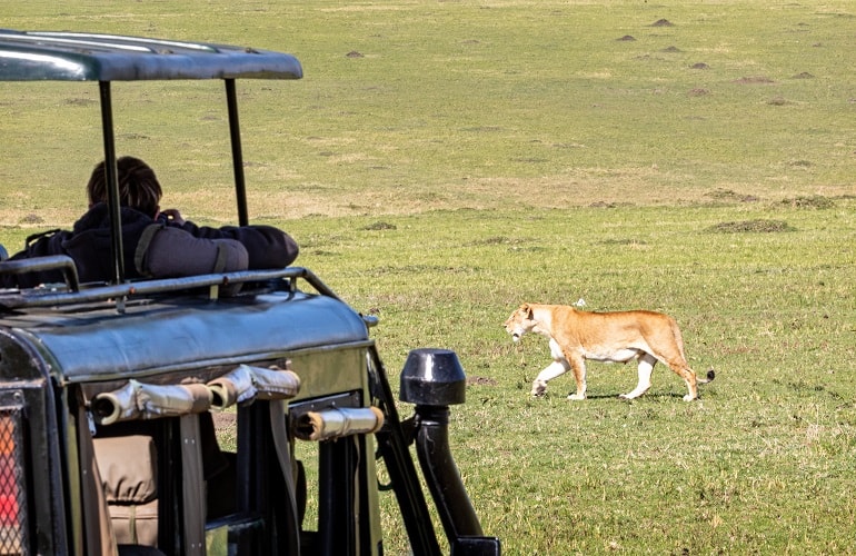 Best 2 days Tanzania safari to Tarangire and Ngorongoro Crater