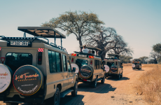 2-Day Tarangire & Ngorongoro Crater Mid Range Safari
