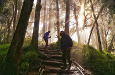 15 Days Tanzania Combo Safari