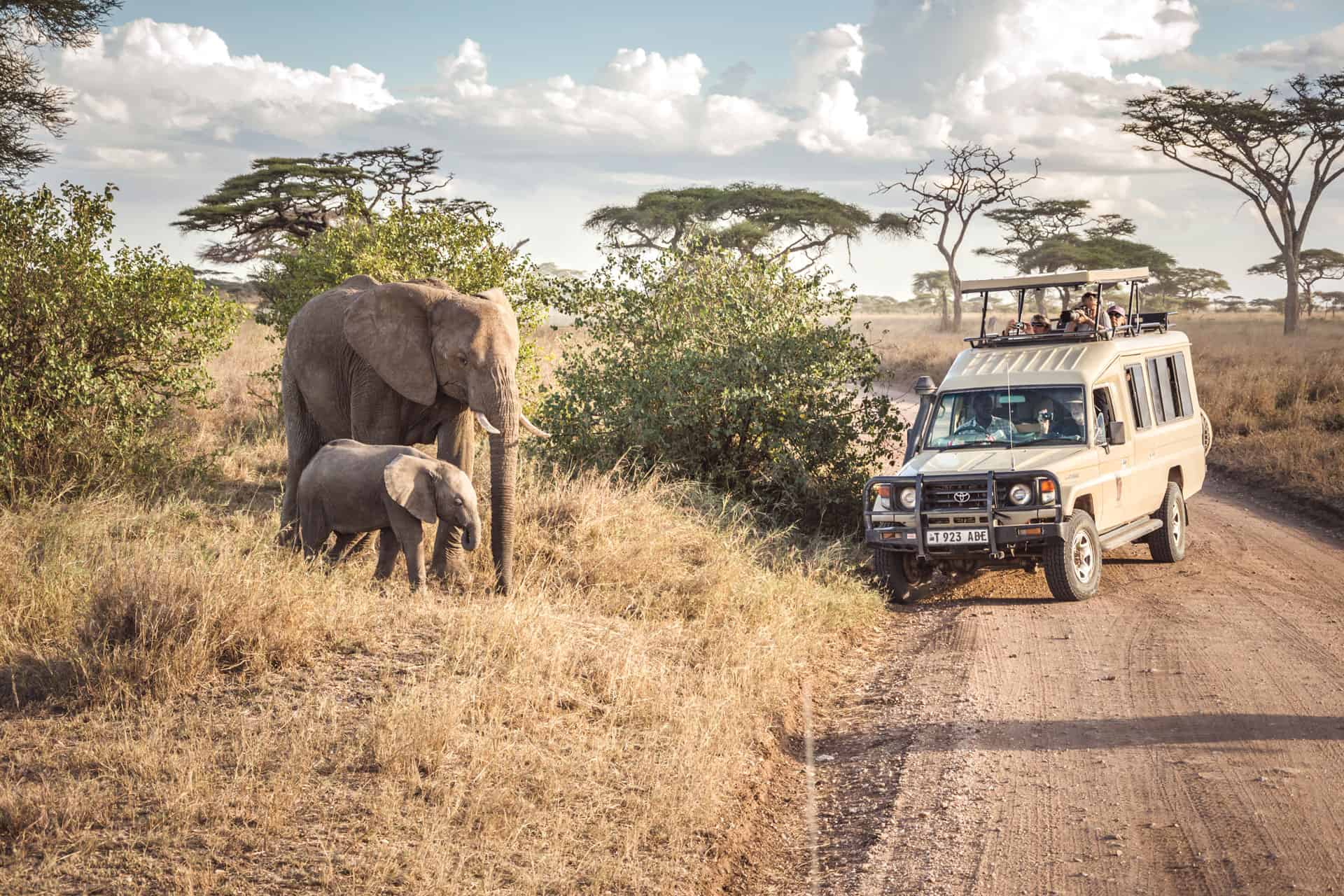 Serengeti National Park Safaris
