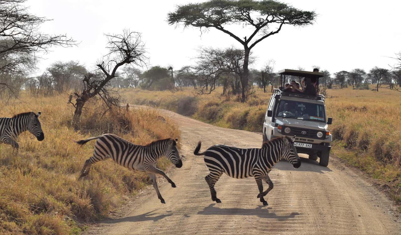 Serengeti