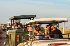 14-Day Best of Uganda Primate & Wildlife Safari