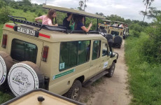 2-Day Tanzania Wildlife Safari