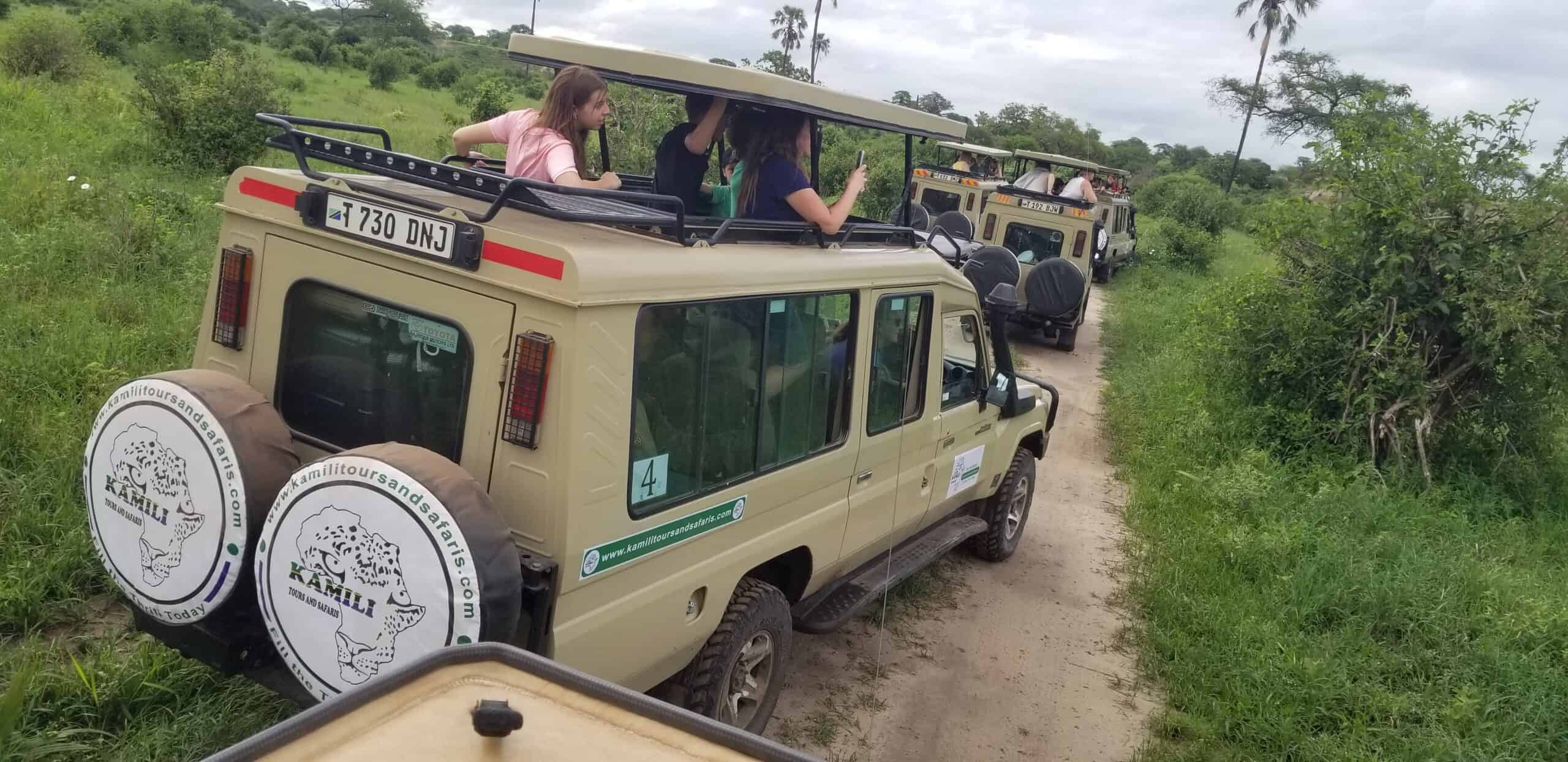 2 days tanzania sharing safari in ngorongoro