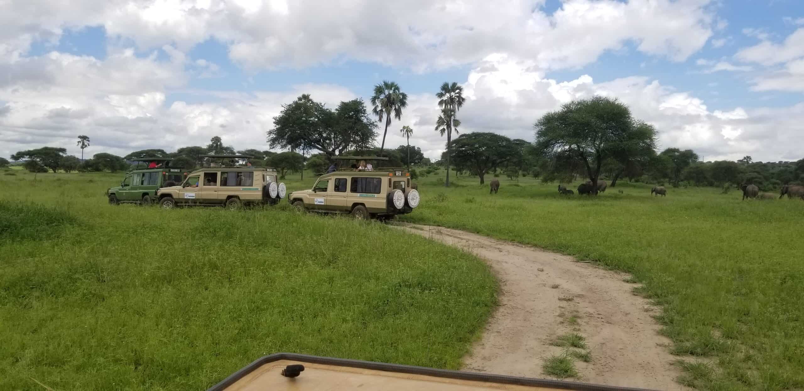 2 days tanzania sharing safari