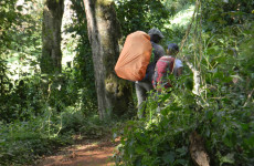 8-Day Lemosho Route Kilimanjaro Hiking Tour