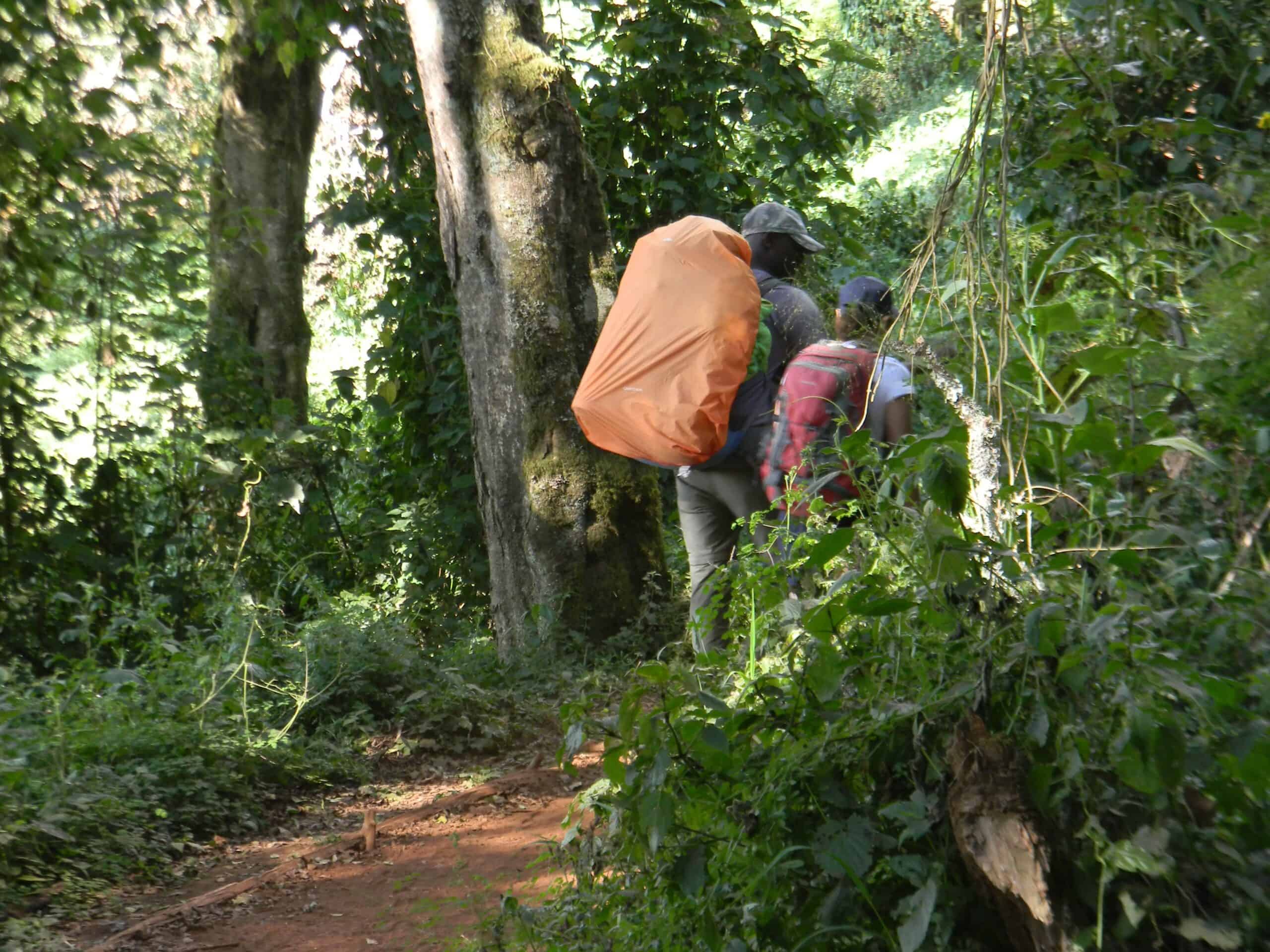 Landoros Gate Mti Mkubwa Kilimanjaro Lemosho Route (5)