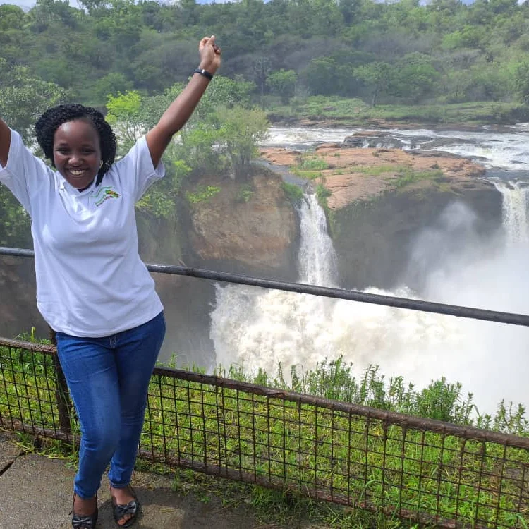 Top Of The Falls