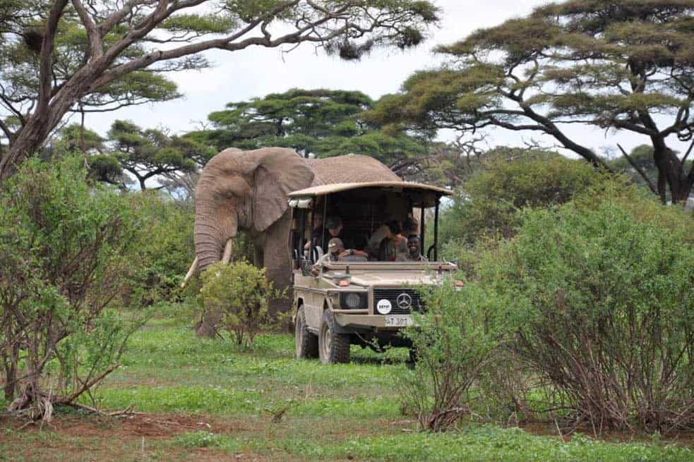 Arusha National Park Banner 2