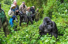 Download
