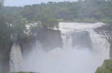3-Day Murchison Falls and Ziwa Rhino Camp Safari