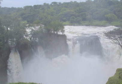 3-Day Murchison Falls and Ziwa Rhino Camp Safari