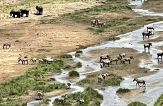 4 Days Safari Ngorongoro, Tarangire, Serengeti Safari