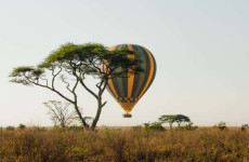 3 Days Tanzania Balloon Safari