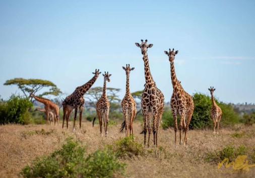 Img 20220702 102802 146