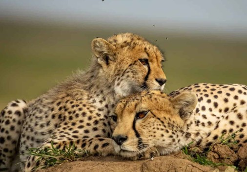 Img 20220702 102853 653