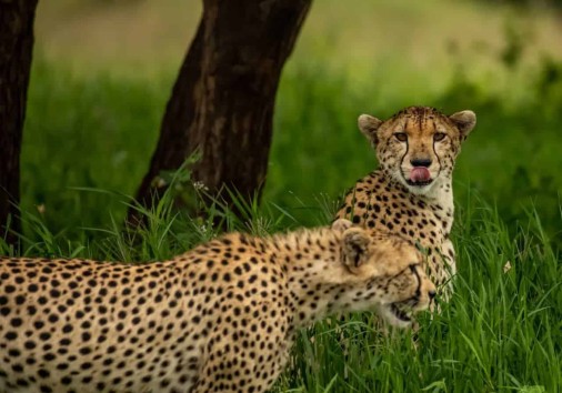 Img 20220702 103050 981