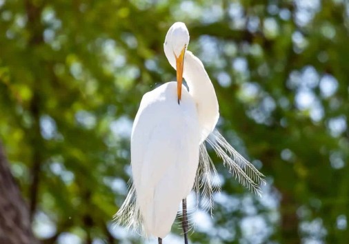 Img 20220702 103058 318