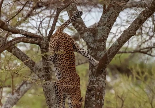 Img 20220702 103121 991