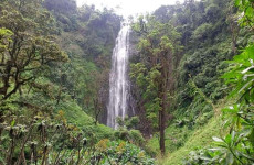 Day Trip to Materuni Waterfall and Coffee Tour