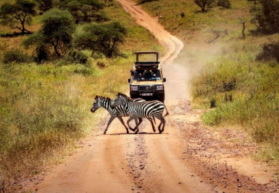 5-Day Midrange Tanzania Safari