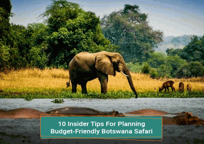 10 Insider Tips For Planning Budget-Friendly Botswana Safari